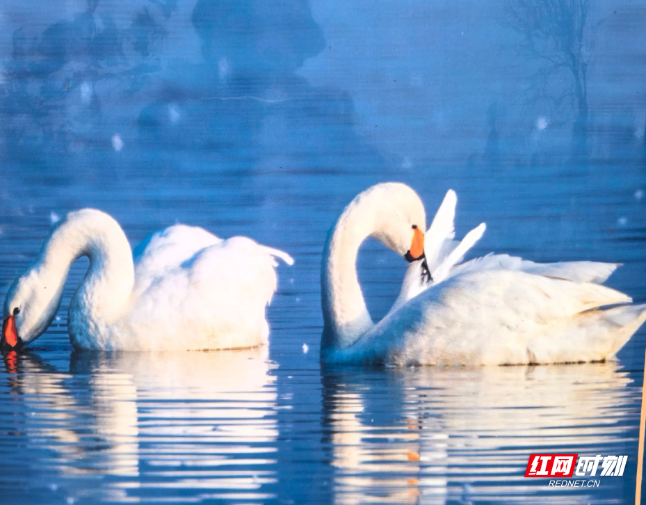 图片12.png 图片12.png