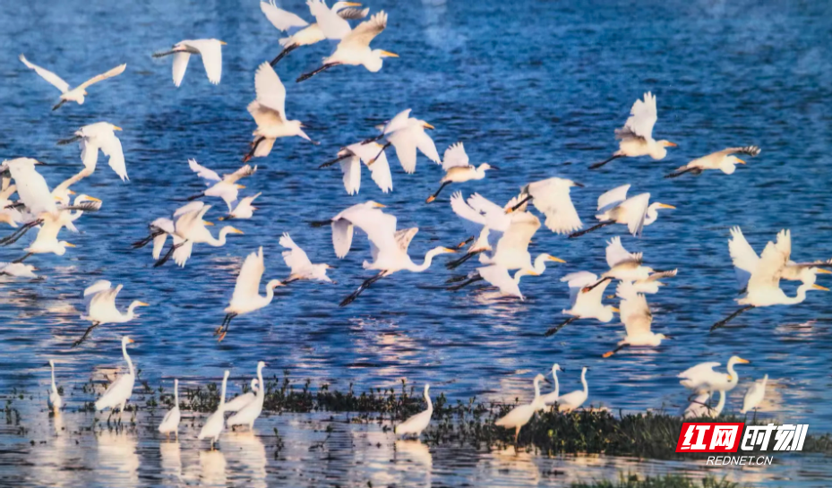 图片11.png 图片11.png