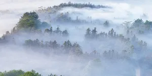 嘉禾县：冬日晨曦美如画