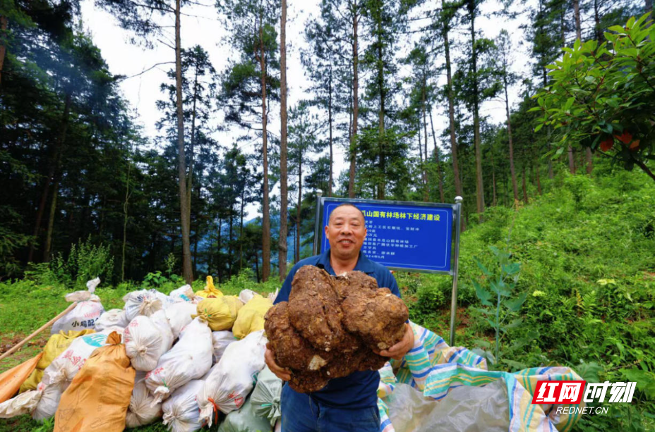 ScreenShot_2025-12-09_183141_803.jpg ScreenShot_2025-12-09_183141_803.jpg