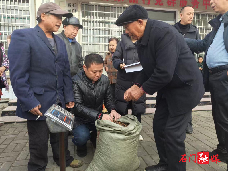 新铺.png 新铺.png