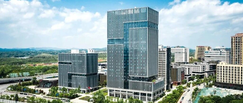 出乎意料！这片农田“种”成了国家级产业集群