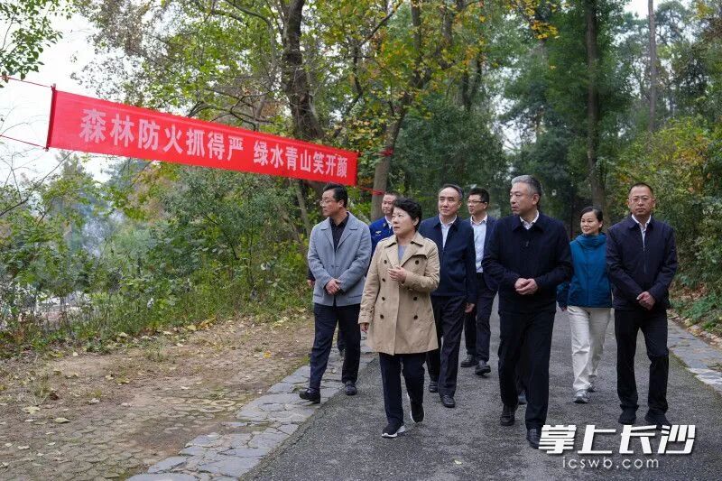 岳麓山巡林现场。 均为长沙晚报全媒体记者 郭雨滴 摄 图片