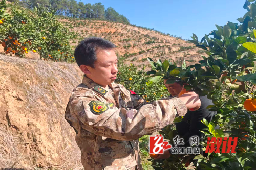 微信图片_20251209121301_658_18.jpg 微信图片_20251209121301_658_18.jpg