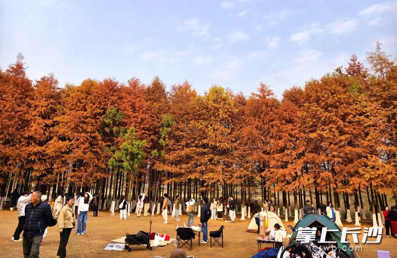 市民在松雅湖休闲打卡。 均为长沙晚报全媒体记者贺文兵摄