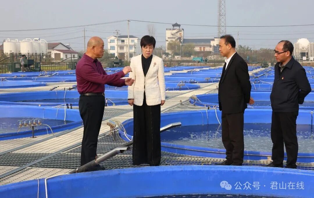 雷欣实地调研采桑湖水基设施渔业基地和小龙虾选种育种基地3.jpg