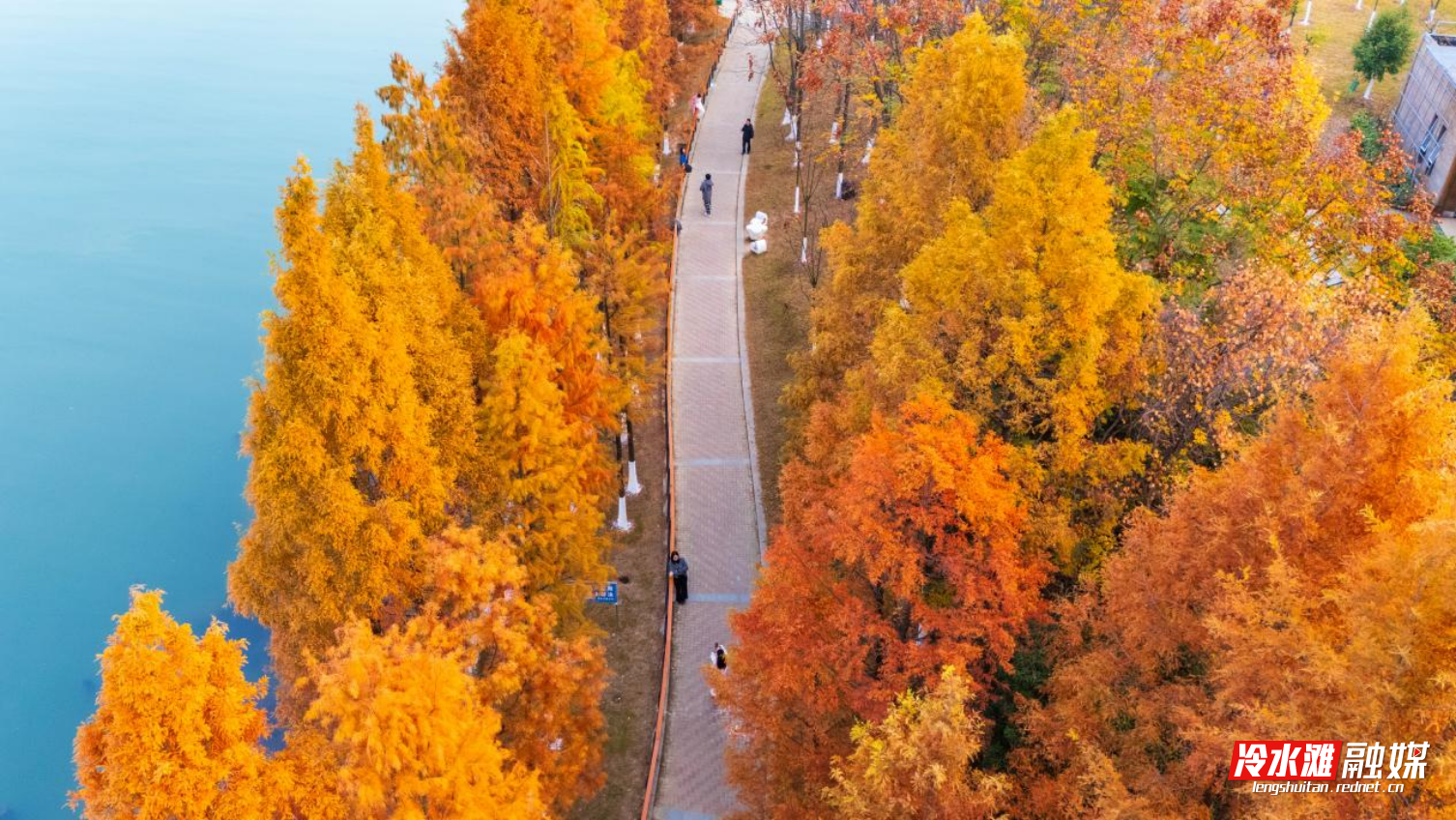 图片2.png 图片2.png