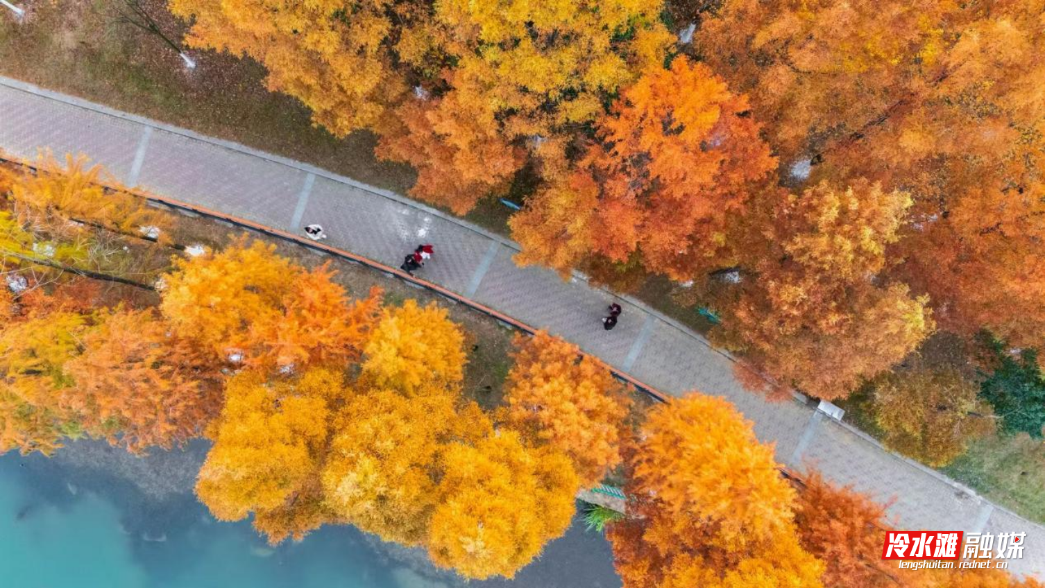 图片3.png 图片3.png