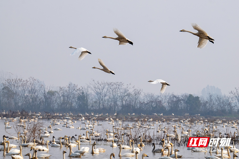 微信图片_20251211135630_8_1655.png 微信图片_20251211135630_8_1655.png