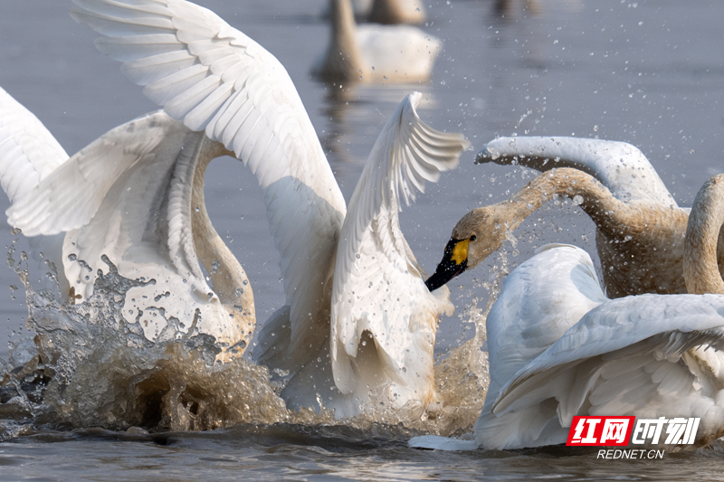 微信图片_20251211135627_7_1655.png 微信图片_20251211135627_7_1655.png