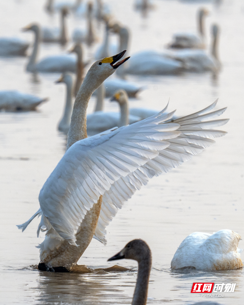 微信图片_20251211135638_11_1655.png 微信图片_20251211135638_11_1655.png