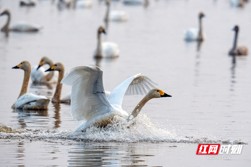 微信图片_20251211135641_12_1655.png 微信图片_20251211135641_12_1655.png