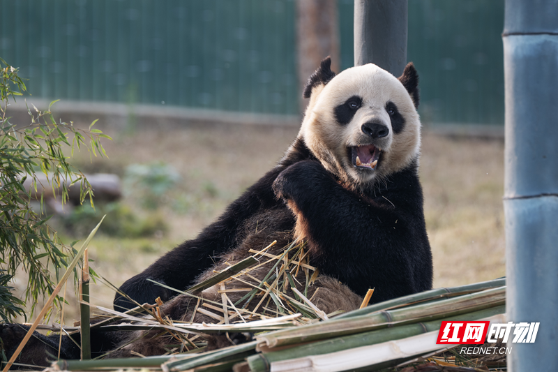 微信图片_20251211141405_18_1655.png 微信图片_20251211141405_18_1655.png