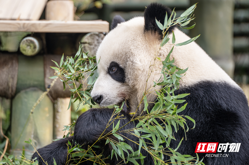 微信图片_20251211141415_21_1655.png 微信图片_20251211141415_21_1655.png