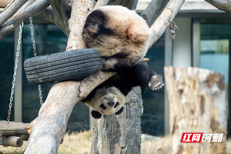 微信图片_20251211141423_23_1655.png 微信图片_20251211141423_23_1655.png