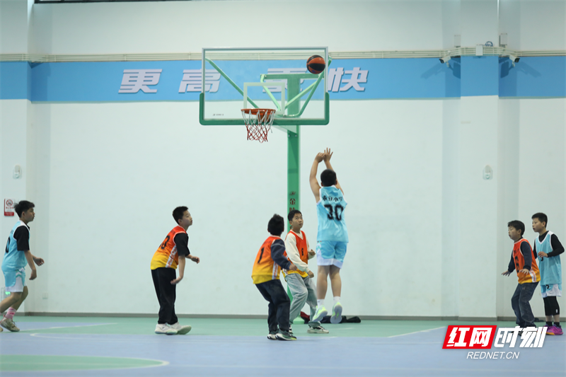 图片5.png 图片5.png