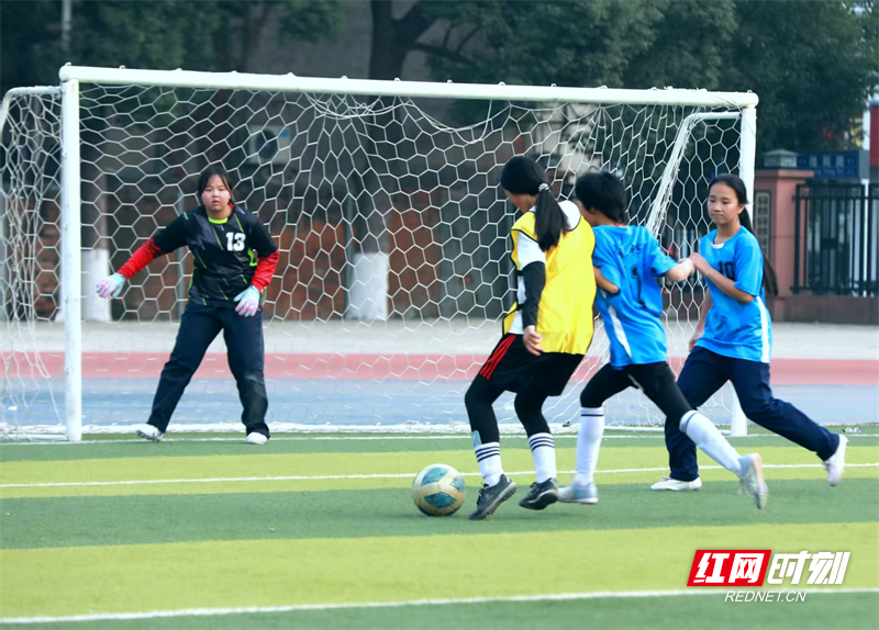 图片7.png 图片7.png