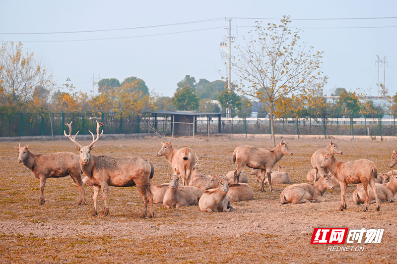 be3154ccf90ad19fa210e20774876d71.png be3154ccf90ad19fa210e20774876d71.png