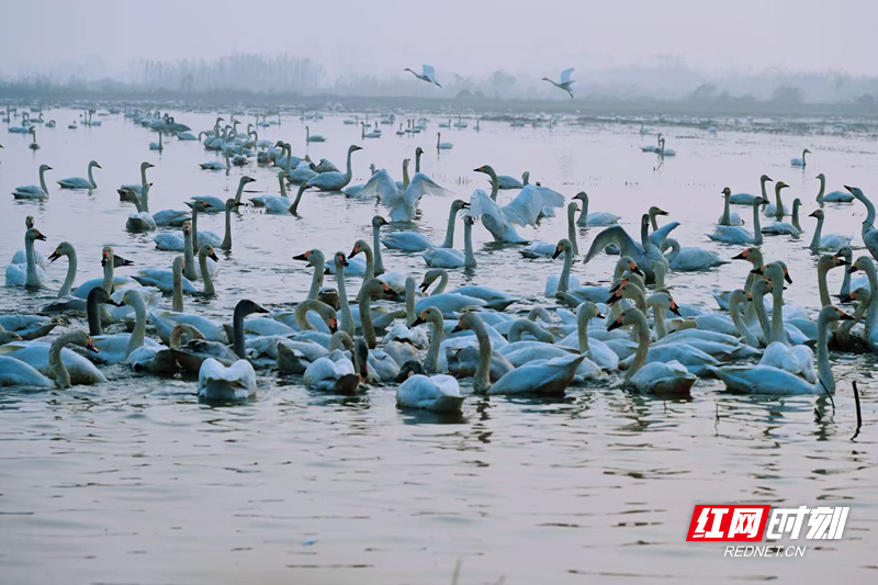 aab71f18c4479f65ffba715511804efd.png aab71f18c4479f65ffba715511804efd.png