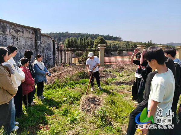 太平学校开展劳动教育实践活动.jpg