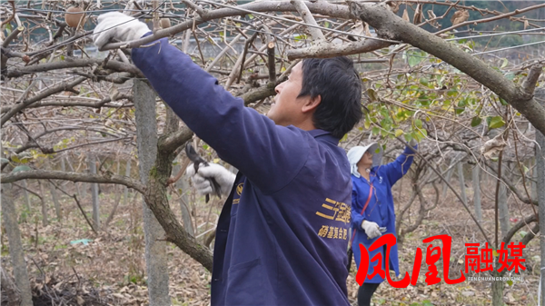 Still1211_00000.png Still1211_00000.png