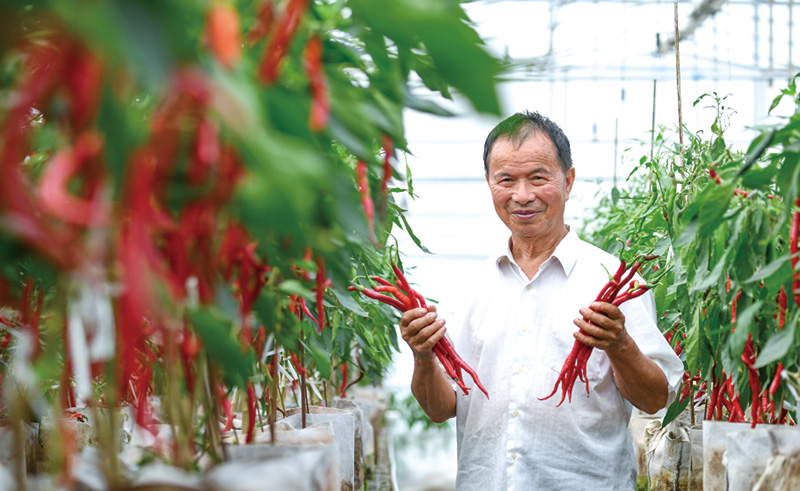 特色产业百花齐放，乡村振兴浏光溢彩