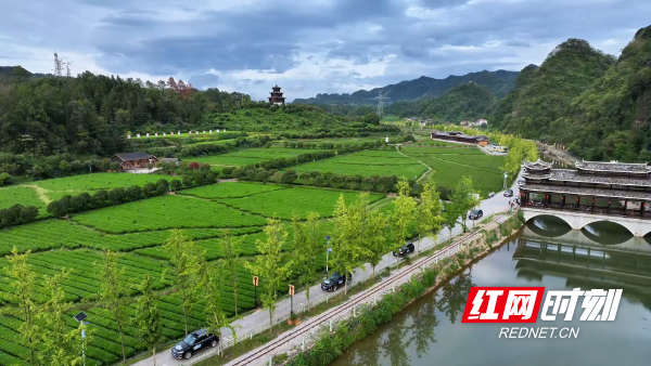 辰龙关茶旅融合产业园。李晋中 摄影.png 辰龙关茶旅融合产业园。李晋中 摄影.png