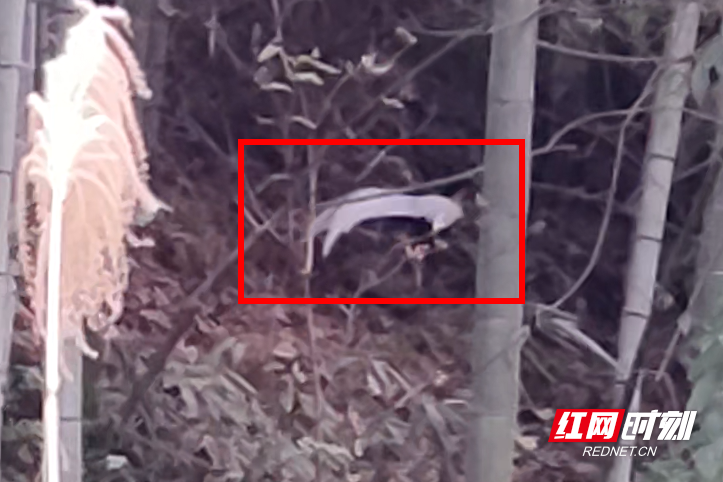 ScreenShot_2025-12-12_105246_739_副本.png ScreenShot_2025-12-12_105246_739_副本.png