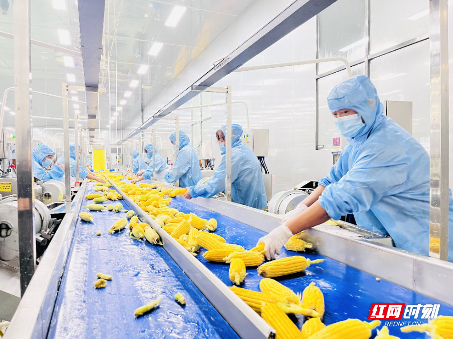 image8.jpeg image8.jpeg