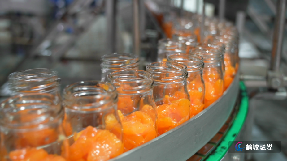 海联食品：满产柑桔罐头 陆港助力“怀化味”出海.mp4_000039.238.png