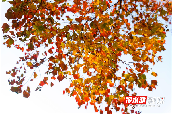 图片6.png 图片6.png