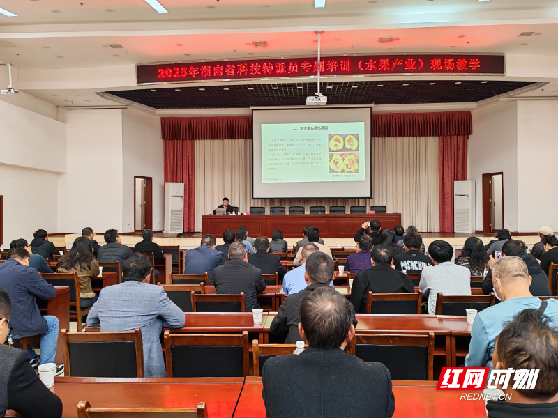 微信图片_2025-12-12_103657_474.jpg 微信图片_2025-12-12_103657_474.jpg