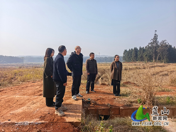蓝山:持续拧紧监督链条 保障高标准农田建设.jpg 蓝山:持续拧紧监督链条 保障高标准农田建设.jpg