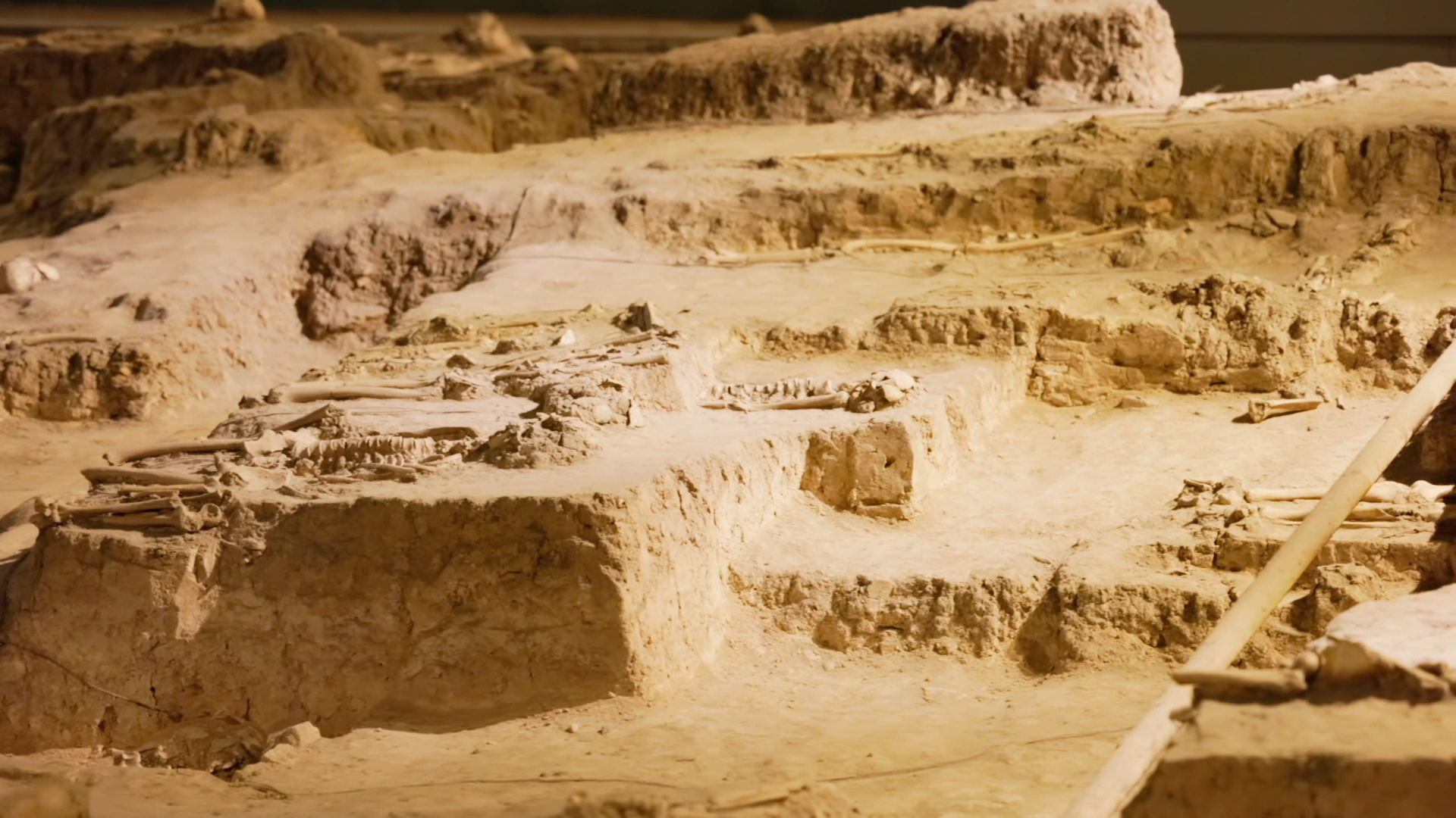 新华社视点丨为了不该被遗忘的生命