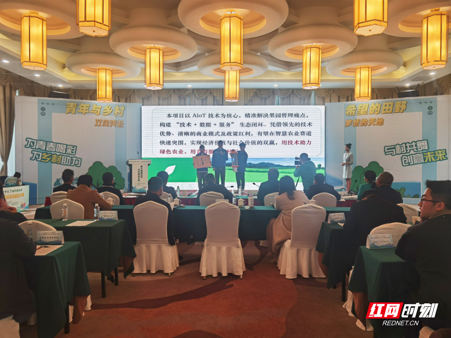 微信图片_20251212212754_副本.jpg 微信图片_20251212212754_副本.jpg