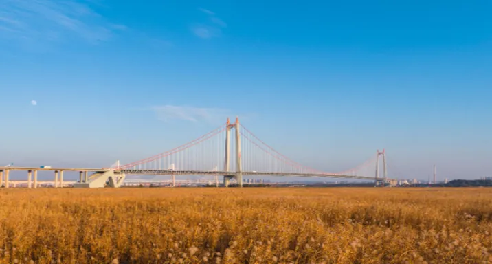 “天下洞庭·国际芦苇艺术季”开幕 岳阳高速智慧护航