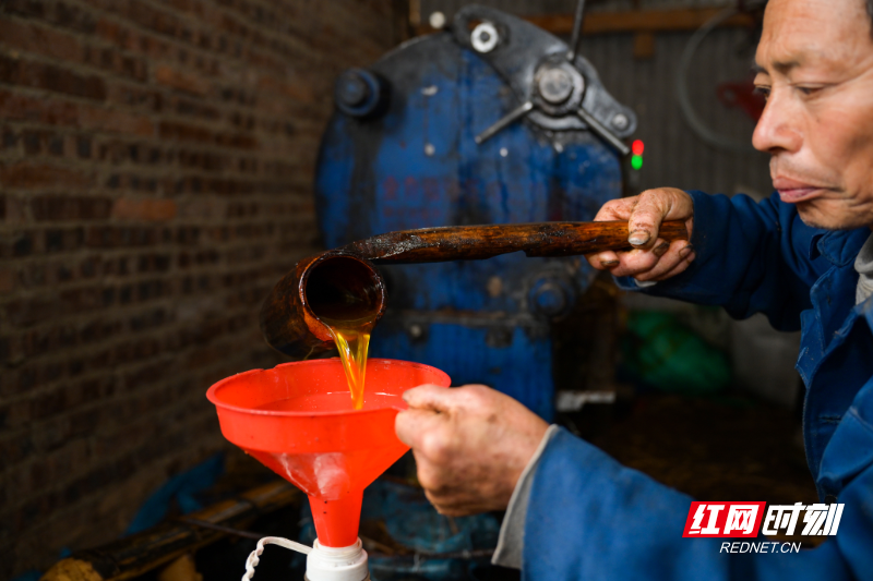 DSC_9262.jpg DSC_9262.jpg