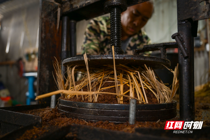 DSC_9194.jpg DSC_9194.jpg