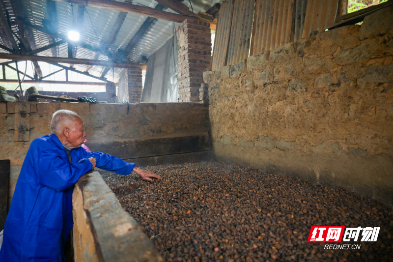 DSC_9330.jpg DSC_9330.jpg