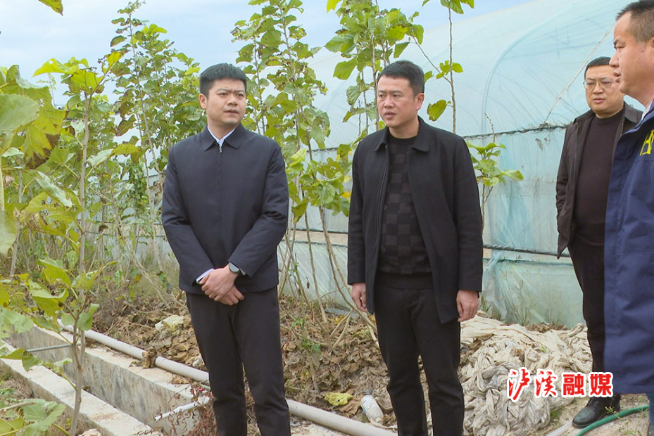 微信图片_20251215215407_131_115.jpg 微信图片_20251215215407_131_115.jpg