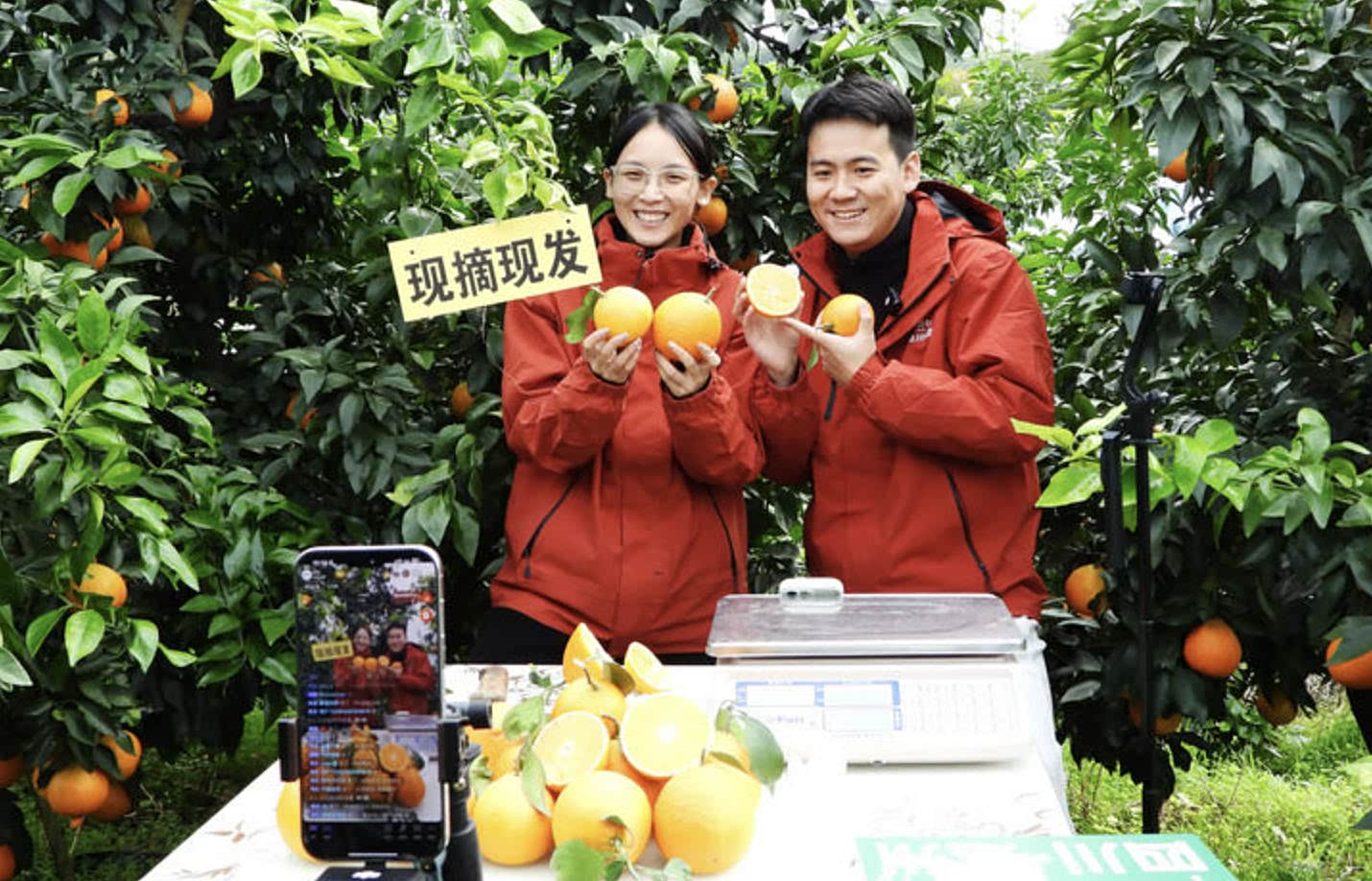 为中国点赞|城乡一样，民生落地生根、开