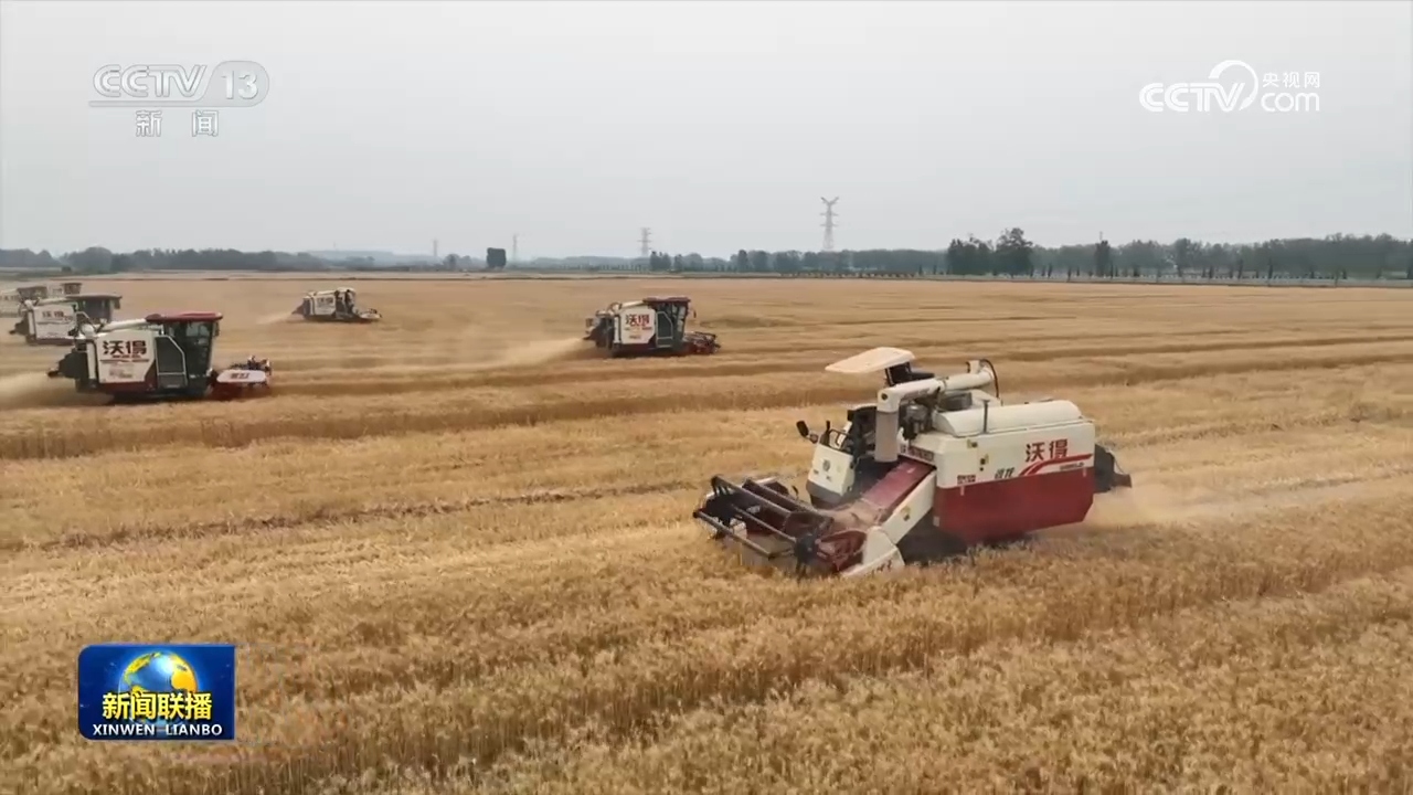 “十四五”期间我国新建改造提升高标准农田4.6亿亩