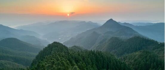 生物多样性优秀案例丨守护武陵生境，谱写生态华章