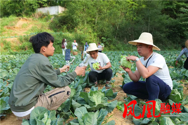 图片13.png
