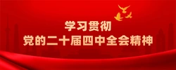 学习贯彻党的二十届四中全会精神