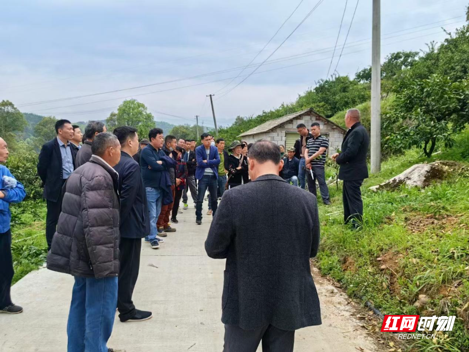 image1.jpeg image1.jpeg