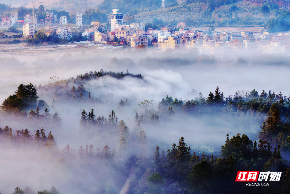 7b9b303946601d4428ac3bbe8fddb9a.png 7b9b303946601d4428ac3bbe8fddb9a.png