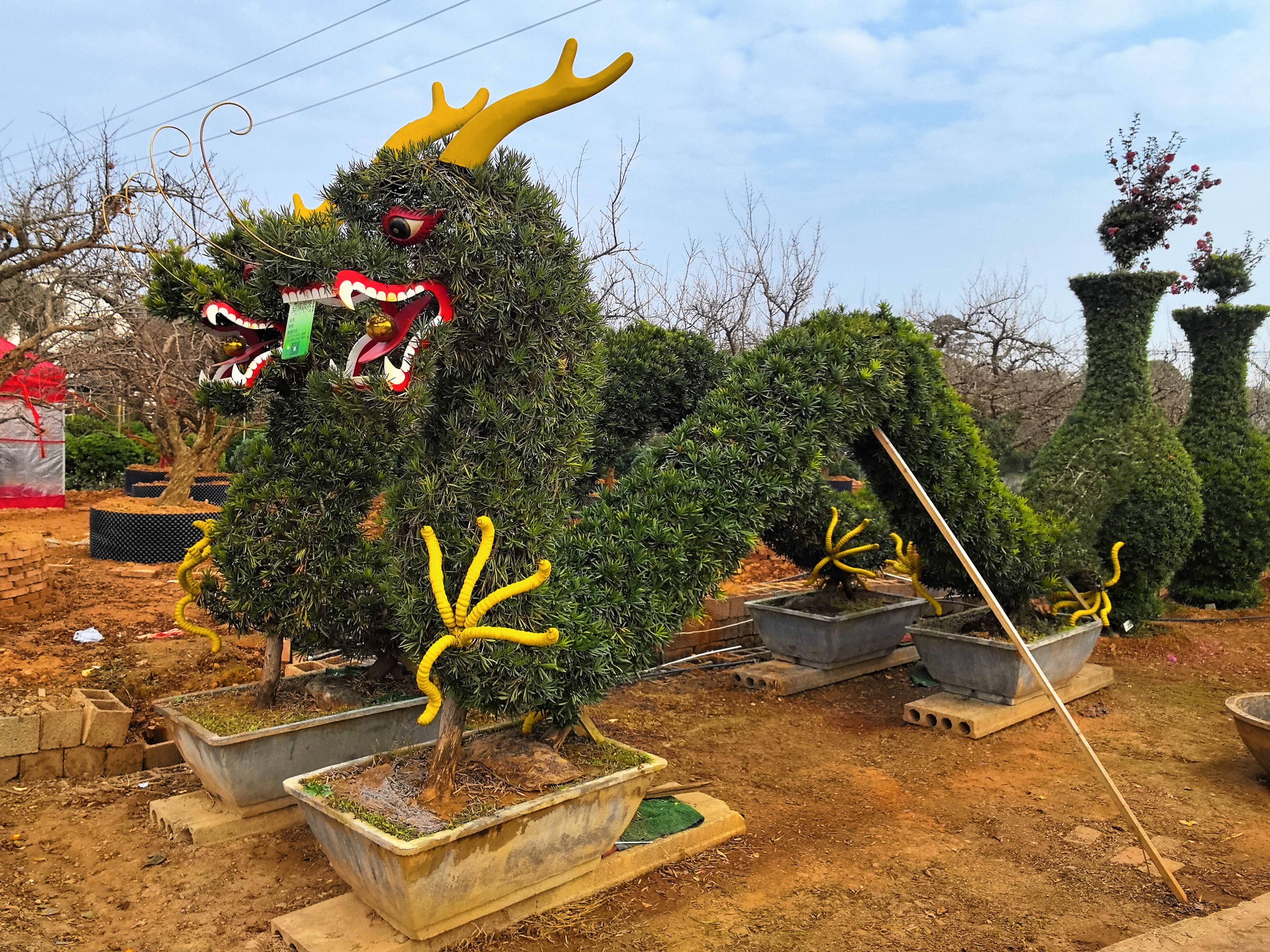 【浏阳站】我是家乡推荐官：柏加的绿意与乡情