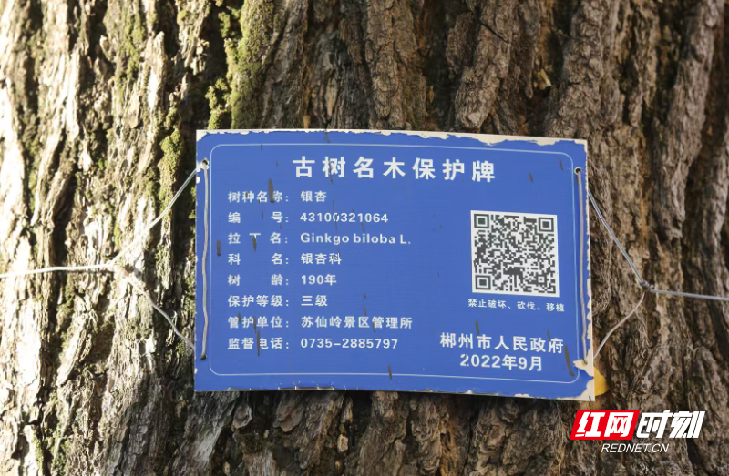 6524d851a4b1be13cbc8d45749e672e8.jpg 6524d851a4b1be13cbc8d45749e672e8.jpg