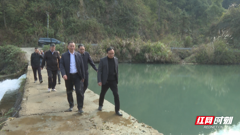 向子顺-3.bmp 向子顺-3.bmp